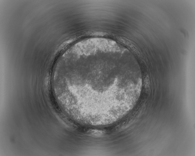 X0000112420352200909251521