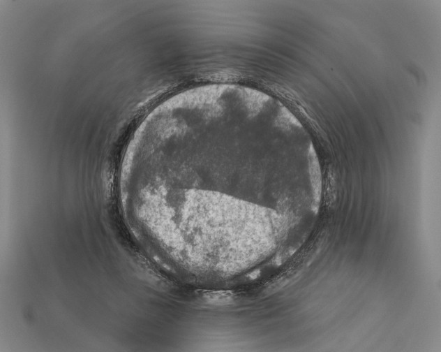 X0000112420355200909251521