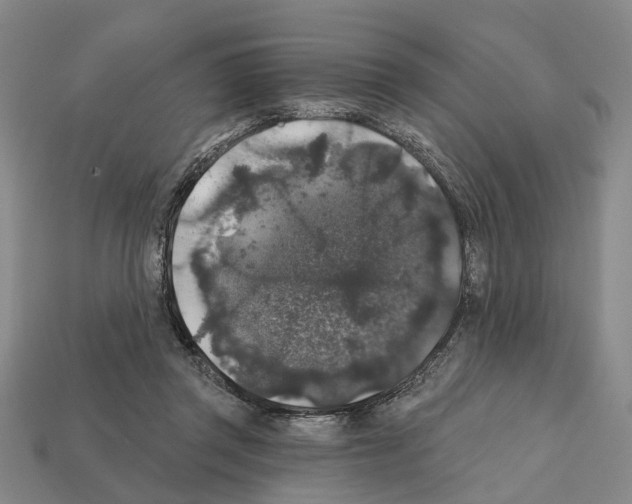 X0000112420357200909251521