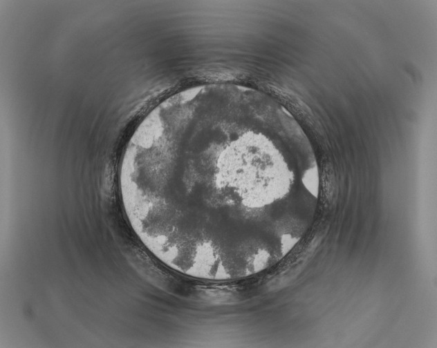 X0000112420359200909251521