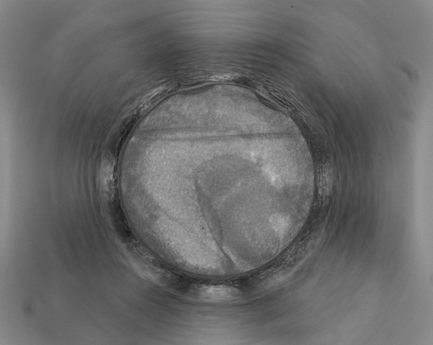 X0000112420360200909251521