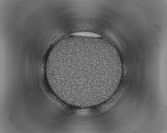 X0000112420362200909251521