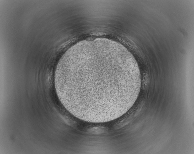 X0000112420364200909251521