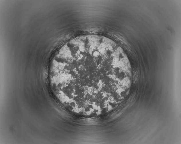 X0000112420365200909251521