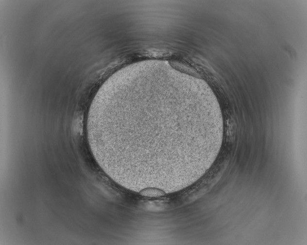 X0000112420368200909251521