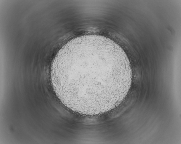 X0000112420369200909251521