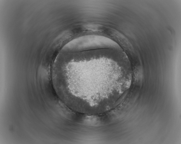 X0000112420376200909251521