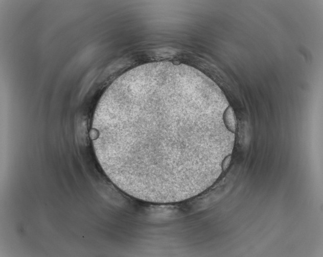 X0000112420378200909251521