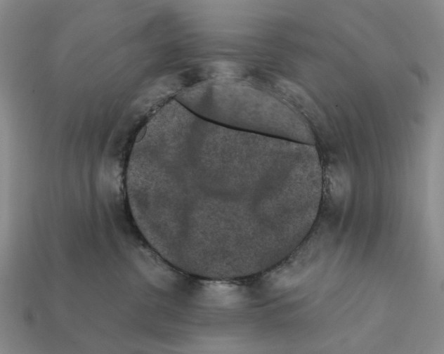 X0000112420380200909251521