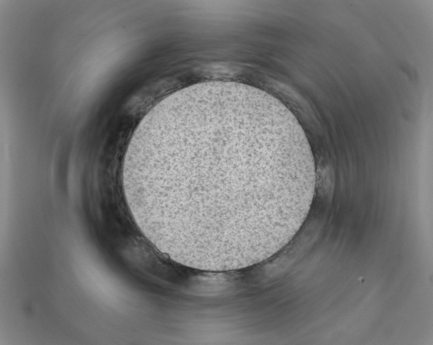 X0000112420381200909251521