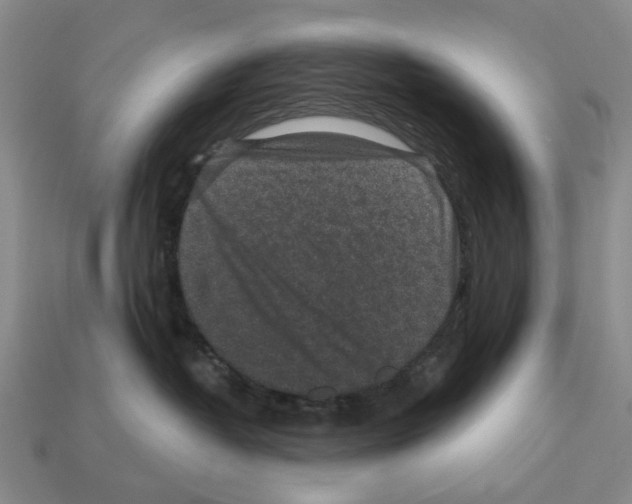 X0000112420382200909251521