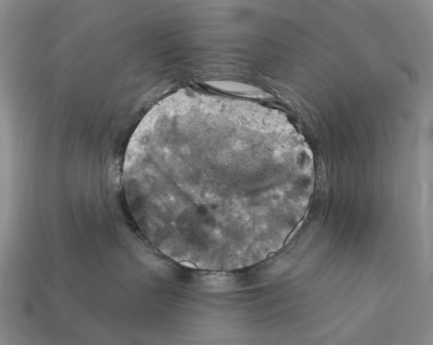 X0000112420383200909251521