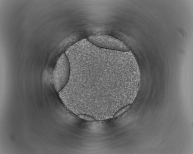 X0000112420384200909251521