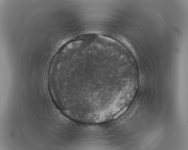 X0000112420385200909251520