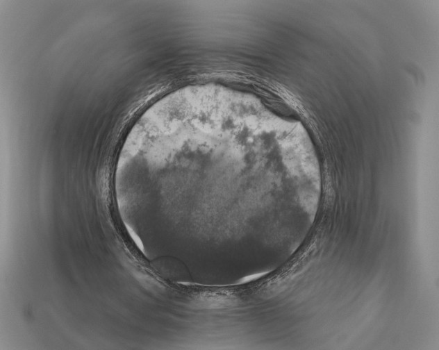 X0000112420386200909251520