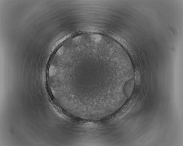 X0000112420390200909251520