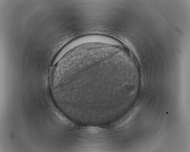 X0000112420393200909251520