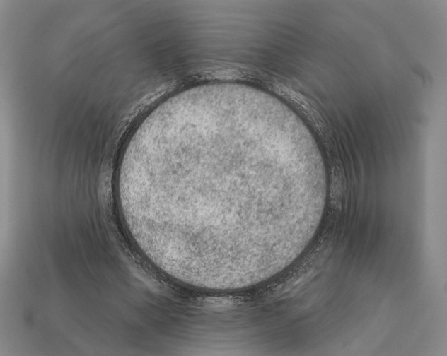 X0000112420394200909251520