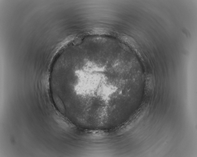 X0000112420395200909251520