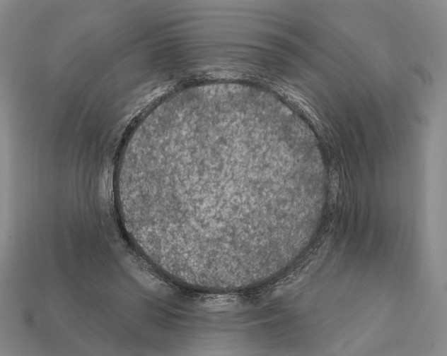 X0000112420398200909251520