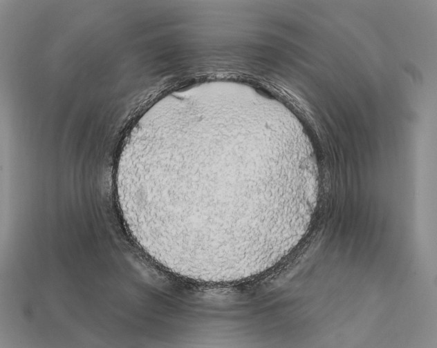 X0000112420401200909251520