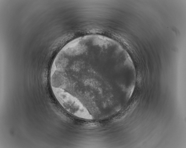 X0000112420402200909251520