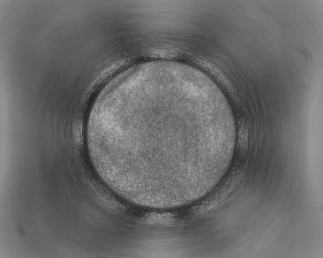 X0000112420403200909251520