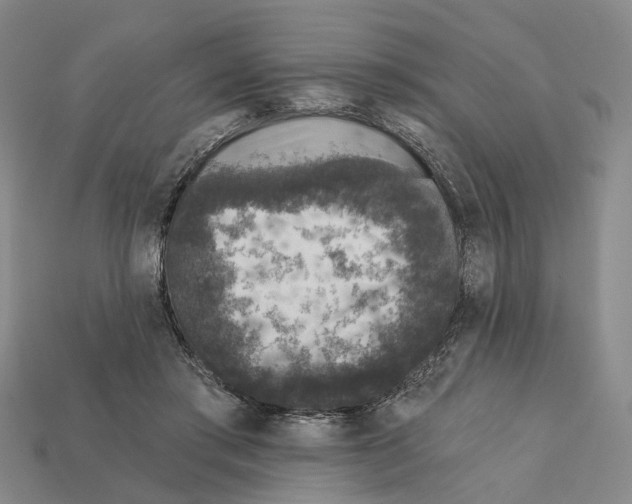 X0000112420405200909251520