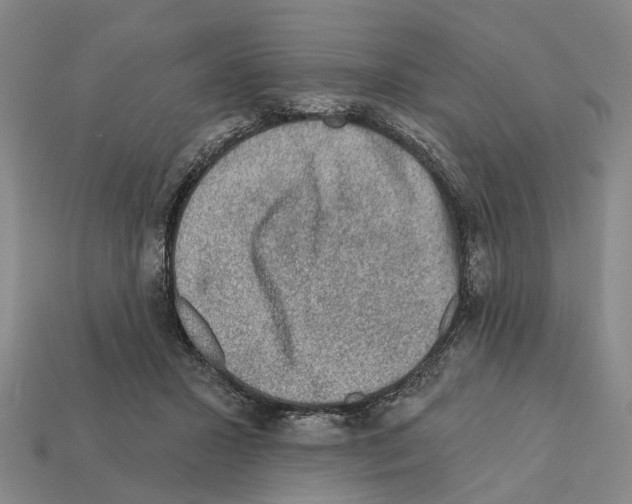 X0000112420407200909251520