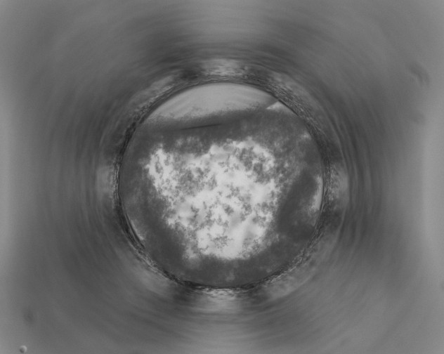 X0000112420409200909251520