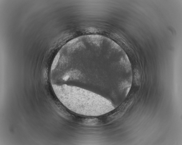 X0000112420410200909251520