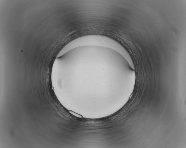 X0000112420413200909251520