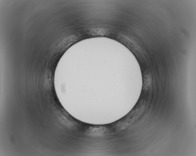 X0000112420414200909251520