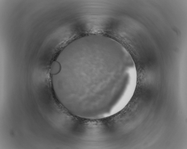 X0000112420415200909251520