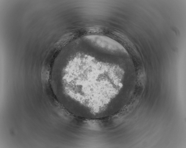 X0000112420417200909251520