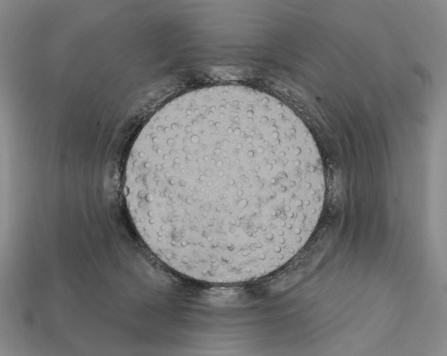 X0000112420418200909251520