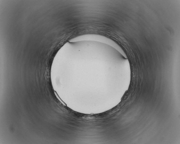 X0000112420419200909251520