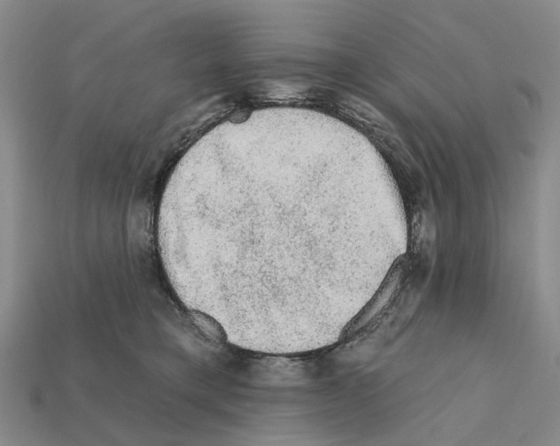 X0000112420421200909251520