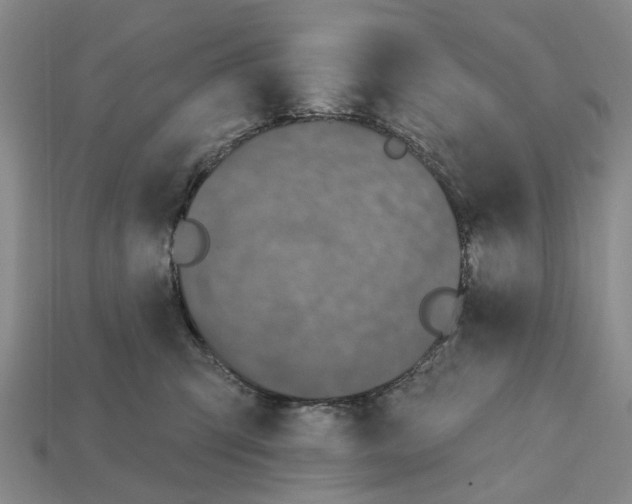 X0000112420423200909251520