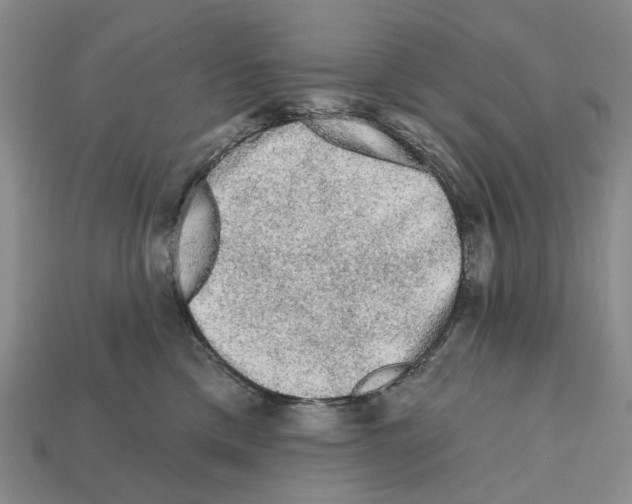 X0000112420425200909251520