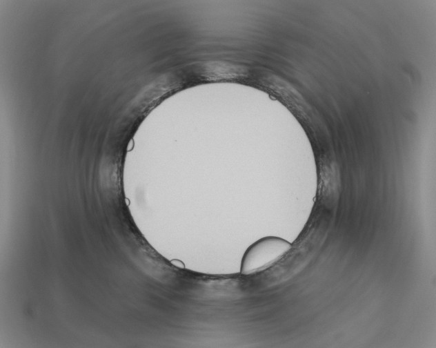 X0000112420426200909251520