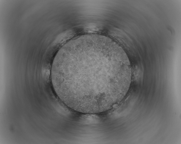 X0000112420427200909251520