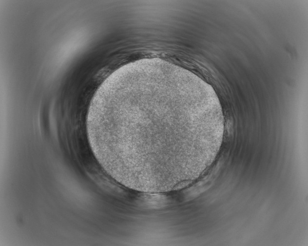 X0000112420429200909251520