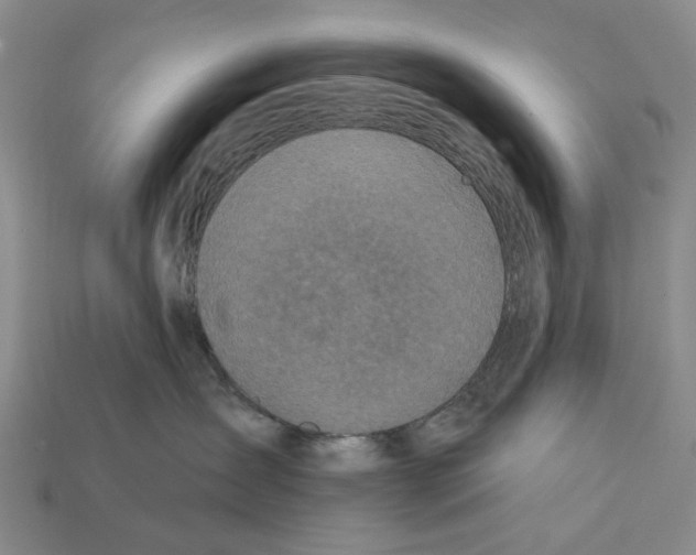 X0000112420431200909251520