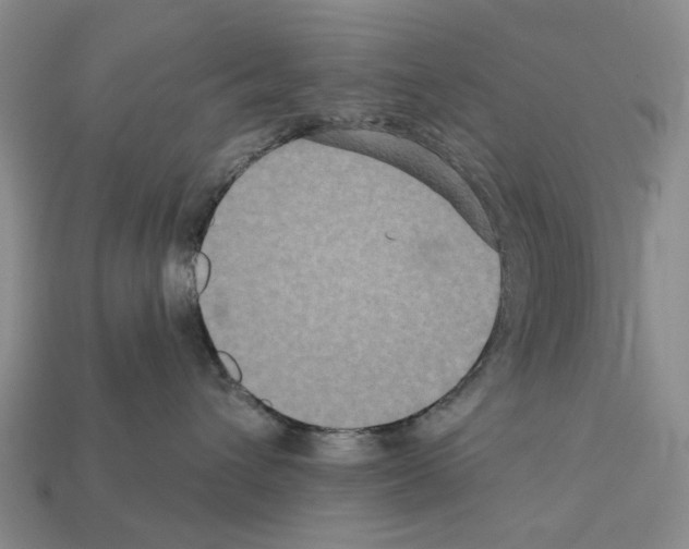 X0000112420432200909251520