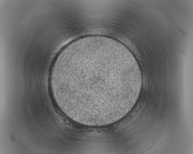 X0000112420434200909251519