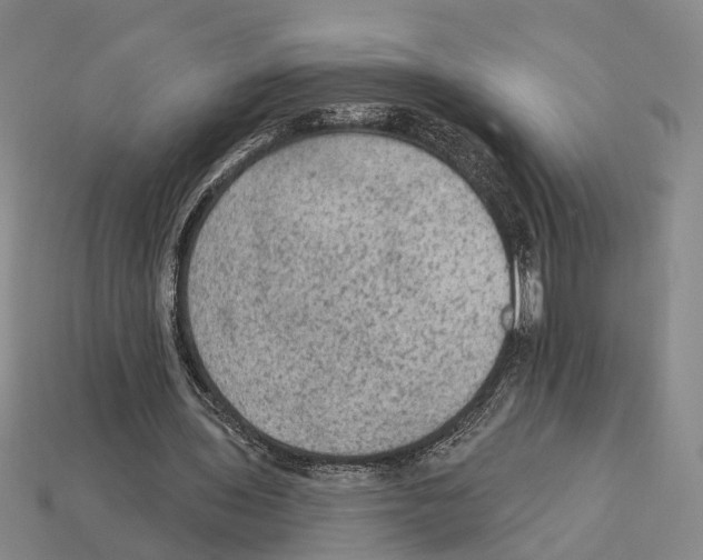 X0000112420435200909251519