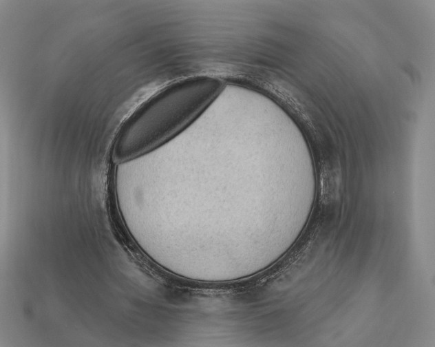 X0000112420436200909251519