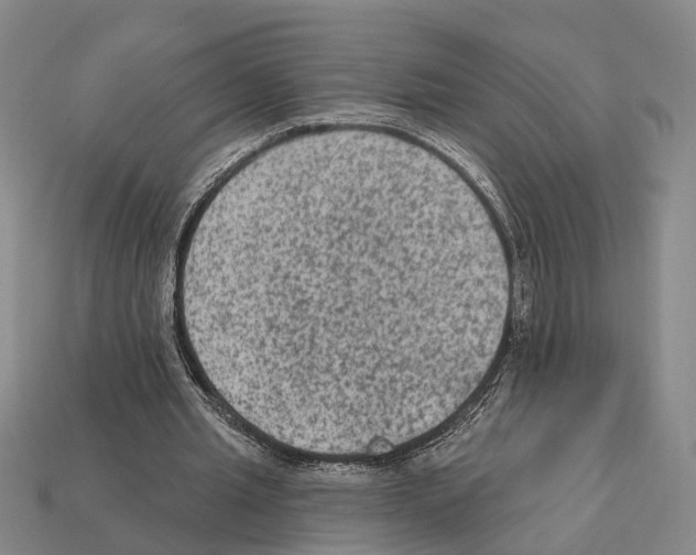 X0000112420437200909251519