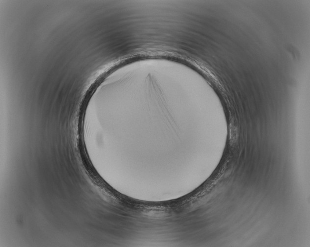 X0000112420438200909251519